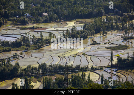 Aerial view of Kashmir valley with rice field terraces Stock Photo