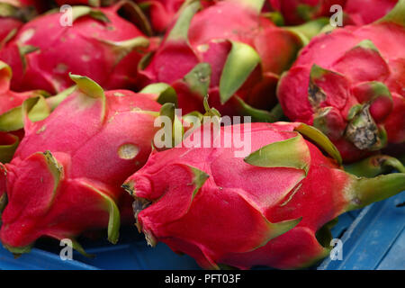 Close up several red ripe pitaya or white pitahaya dragon fruit on market stall, high angle view Stock Photo