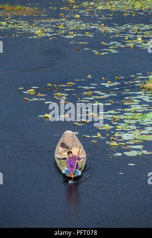 Srinagar, India - June 15, 2017: Man riding a shikara boat on the Dal lake in Srinagar, Kashmir, India. Stock Photo