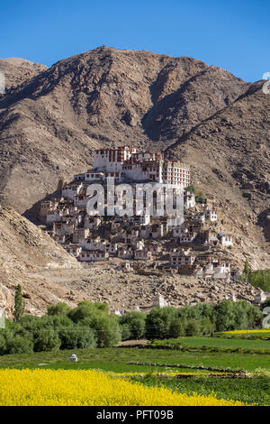 Chemre gompa Buddhist monastery in Ladakh, Jammu & Kashmir, India Stock Photo