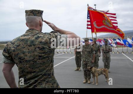 Lt. Col. Richard M. Martin, commanding officer of 1st Marine Raider Support Battalion, U.S. Marine Corps Forces, Special Operations Command, retires SOF multipurpose canine Nero aboard Marine Corps Base Camp Pendleton, Calif. on May 21, 2018.  Nero received a Certificate of Appreciation and the U.S. Military Working Dog Service Award after five years of service with two combat deployments. Stock Photo