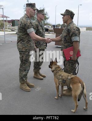 Lt. Col. Richard M. Martin, commanding officer of 1st Marine Raider Support Battalion, U.S. Marine Corps Forces, Special Operations Command, applauds MARSOC SOF multipurpose canine Nero and his handler for outstanding teamwork, during Nero’s retirement ceremony aboard Marine Corps Base Camp Pendleton, Calif., May 21, 2018.  Nero received a Certificate of Appreciation and the U.S. Military Working Dog Service Award after five years of service including two combat deployments. Stock Photo