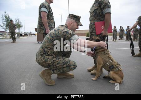Lt. Col. Richard M. Martin, commanding officer of 1st Marine Raider Support Battalion, U.S. Marine Corps Forces, Special Operations Command, presents SOF multipurpose canine Nero with a U.S. Military Working Dog Medal during his retirement ceremony aboard Marine Corps Base Camp Pendleton, Calif. on May 21, 2018.  Nero received a Certificate of Appreciation and the U.S. Military Working Dog Service Award after five years of service including two combat deployments. Stock Photo