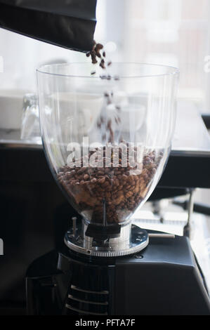Filling an espresso machine with coffee beans Stock Photo