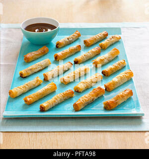 Duck and hoisin spring rolls Stock Photo