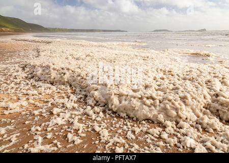 Foam pollution on Rhossili beach on the South Wales coast Stock Photo
