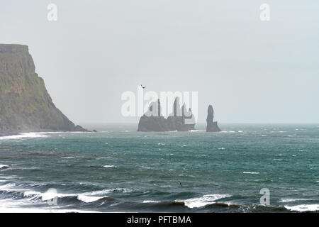 Three Atlantic Puffins circle the sea above the black sand beaches of Vik, with the Reynisdrangar sea stacks in the background on a misty summer day. Stock Photo
