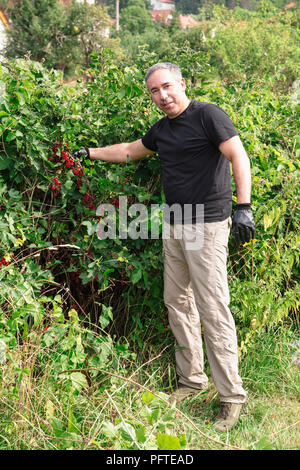 Attractive man smiles and holds red currants Stock Photo
