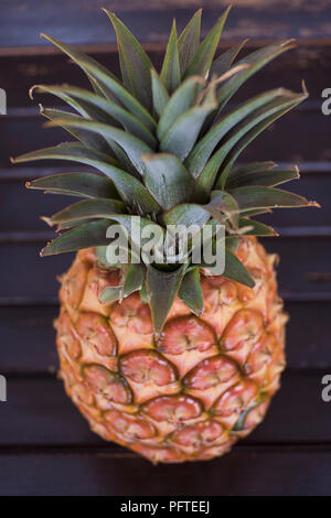 Ripe pineapple, a healthy tropical fruit favorite for its bromelain enzyme and antioxidant characteristics set on a wooden table with selective focus Stock Photo
