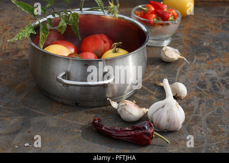 Fresh tomatoes and pepper in pot. Colorful image with assorted colorful tomatoes, different pepper, chile, garlic and salt.  Rustic style. Stock Photo