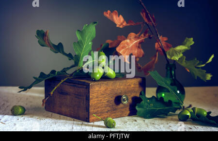 still life with a branch of oak and acorns. vintage. Stock Photo
