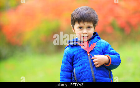Portrait of a toddler cute boy with a red maple leaf in the hand. Happy child playing with maple leaves in beautiful autumn park on warm sunny fall da Stock Photo