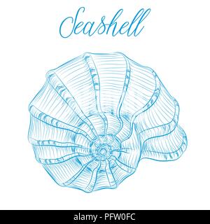 Nautilus sea shell Hand drawn blue linear vector illustration.Marine wildlife decorative designer graphic art element isolated. Perfect for invitation Stock Vector