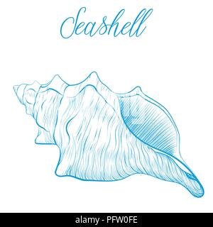 Sea shell Hand drawn blue linear vector illustration.Marine wildlife decorative designer graphic art element isolated. Perfect for invitations, greeti Stock Vector