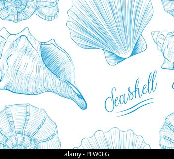 Sea shells Hand drawn blue linear vector illustration.Marine wildlife decorative designer isoalted graphic art element isolated on white background. P Stock Vector