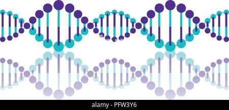 horizontal dna chain science colorful icon Stock Vector
