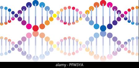 horizontal dna chain science colorful icon Stock Vector