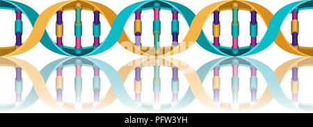 horizontal dna chain science colorful icon Stock Vector
