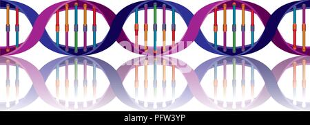 horizontal dna chain science colorful icon Stock Vector