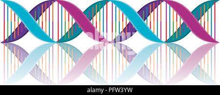 horizontal dna chain science colorful icon Stock Vector