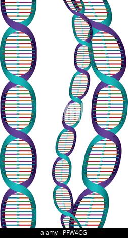 horizontal dna chains science colorful Stock Vector