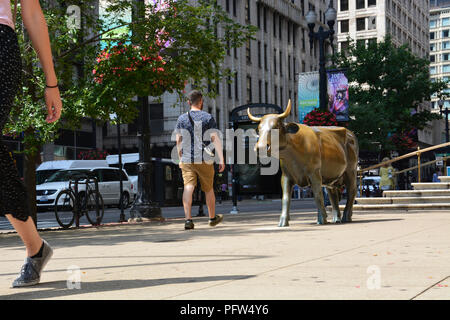 The bronze cow sculpture located on the sidewalk outside of the Chicago Cultural Center is in honor of the cities 1999 Cows On Parade. Stock Photo