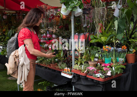 Leiden, Netherlands - May 12, 2018: Annual flower market with special plants in the Hortus Botanicus Stock Photo