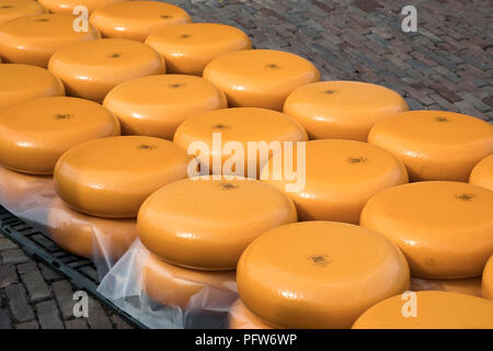 Alkmaar, Netherlands - June 01, 2018: Rows of stacked round yellow cheeses at the cheese market Stock Photo