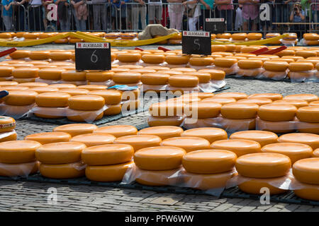 Alkmaar, Netherlands - June 01, 2018: Rows of stacked round yellow Gouda cheeses at the cheese market Stock Photo