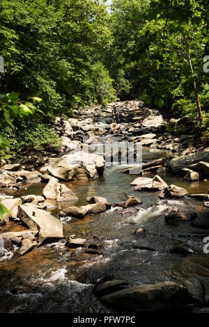 Water flows through Rock Creek Park in Washington, DC, on a summer day. Stock Photo