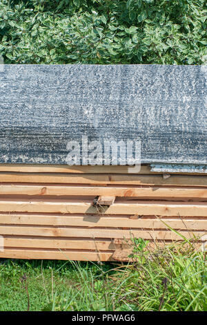 sheltered from rain and snow boards in the backyard. pile of lumber. stacked wood. Stock Photo