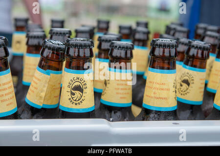 Beer Festival in Garland Texas Stock Photo