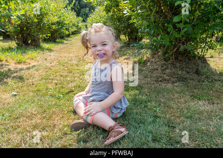 Twenty month old girl posing by a blueberry bush Stock Photo