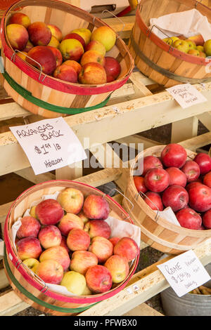 Hood River, Oregon, USA.  Arkansas Black heirloom apples, Rome apples, Northern Spy apples, Forelle pears and others for sale at a fruit stand. Stock Photo