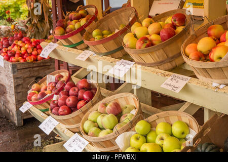 Hood River, Oregon, USA.  Crimson Crisp, Northern Spy, Spitzeburg, Rome and other apples for sale at a fruit stand. Stock Photo