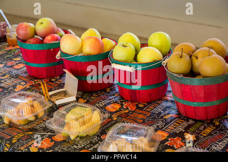 Hood River, Oregon, USA.  Rome, Winter Banana, Golden Delicious apples and Asian Hosui pears for sampling at a fruit stand. Stock Photo