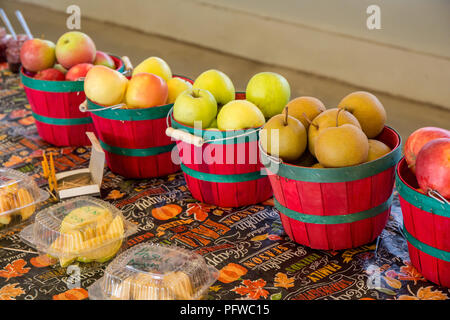 Hood River, Oregon, USA.  Rome, Winter Banana, Golden Delicious apples and Asian Hosui pears for sampling at a fruit stand. Stock Photo
