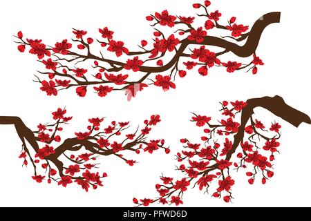 Branches of red blossoming sakura . Japanese cherry tree isolated white background. Chinese new year Stock Vector