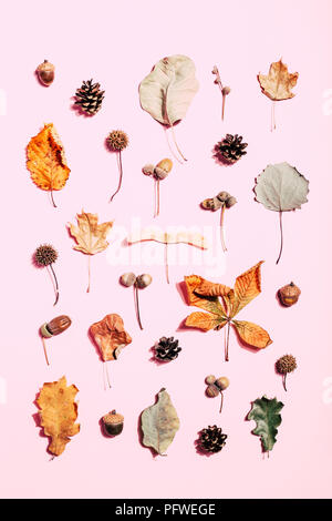 Autumn pattern made of dry leaves on pink background. Top view. Stock Photo