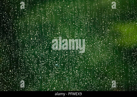 Montreal,Canada,19 August,2018.Raindrops on a window pane aganist a green background.Credit:Mario Beauregard/17�Թ����� Live News Stock Photo