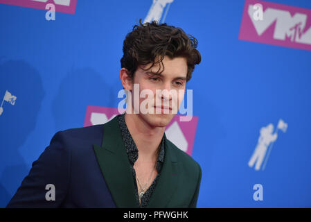 Shawn Mendes attends the 2018 MTV Video Music Awards at Radio City Music Hall on August 20, 2018 in New York City. Stock Photo