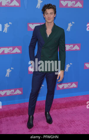 Shawn Mendes attends the 2018 MTV Video Music Awards at Radio City Music Hall on August 20, 2018 in New York City. Stock Photo