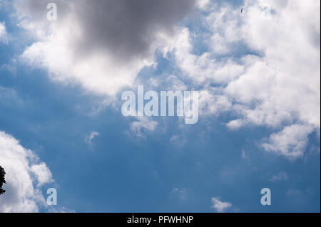 timelapse of moving clouds going from a bright sky to a dark sky Stock Photo