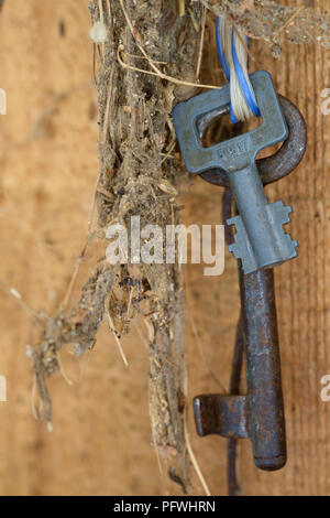 old keys hanging by twine in an old dirty dusty shed Stock Photo