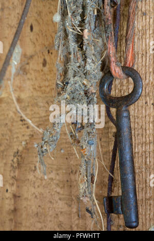 old key hanging by twine in an old dirty dusty shed Stock Photo