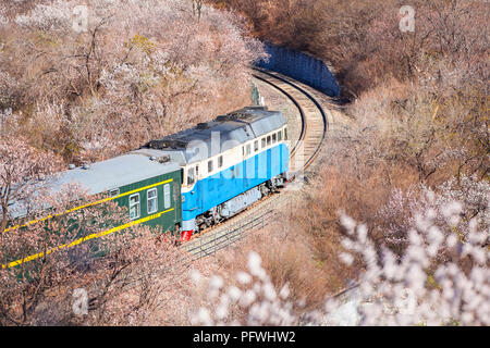 The train running, beside the road and laden with flowers Stock Photo ...