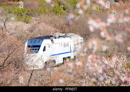 The train running, beside the road and laden with flowers Stock Photo ...