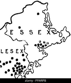 . Miscellaneous papers on apiculture. Bees; Honey; Bees; Bees; Bees; Bees. MISCELLANEOUS PAPEES ON APICULTURE. this State, yet growers in other Atlantic and Central States have undertaken it to some extent. Originating in Worcester County, it has assumed large proportions through the eastern part of Massa- chusetts. The accompanying map (fig. 2) shows the approximate location of the industry. It is a difficult task to obtain satisfactory data on this phase of apiculture. Market gardeners who grow cucum- bers under glass do not consider themselves apiarists; on this ground they largely disregar Stock Photo