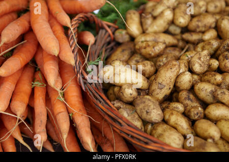 Bunches of organic potatoes and carrots at a market. Stock Photo