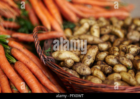 Bunches of organic potatoes and carrots at a market. Stock Photo